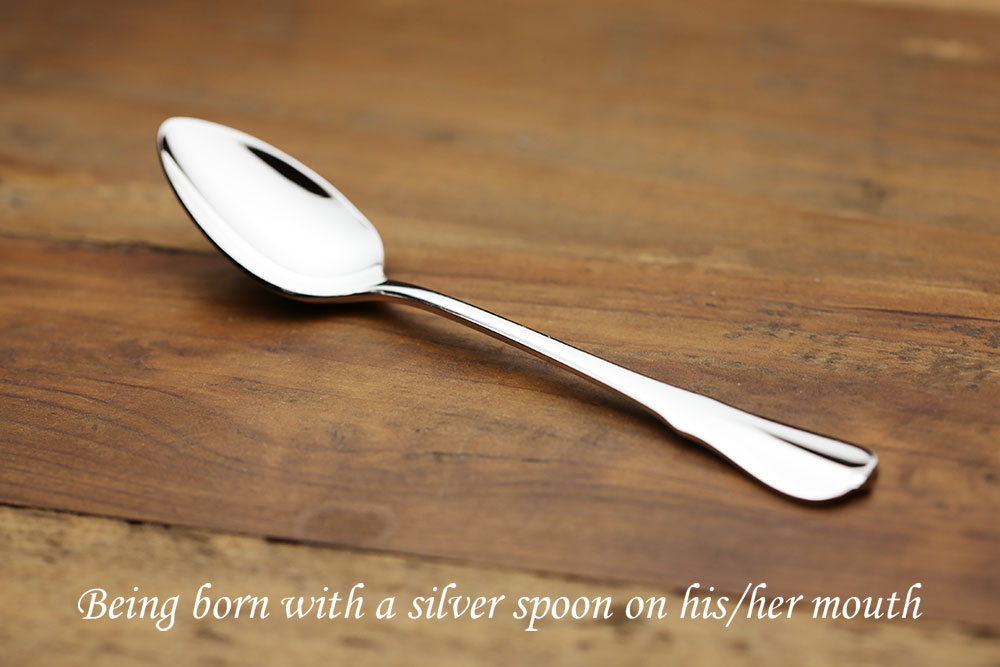 The Silver Spoon シルバースプーン